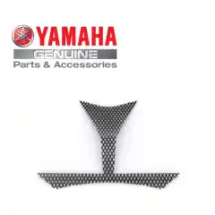 Intake mesh TRACER 900 2015-17